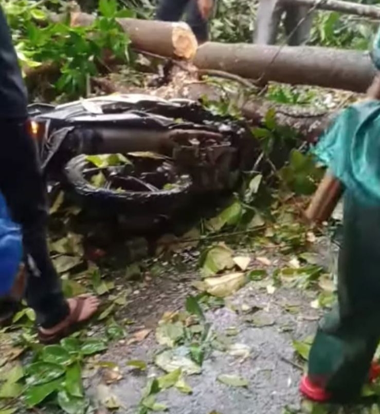 Pulang Ngajar, Guru PPPK di Seluma Tertimpa Pohon Tumbang