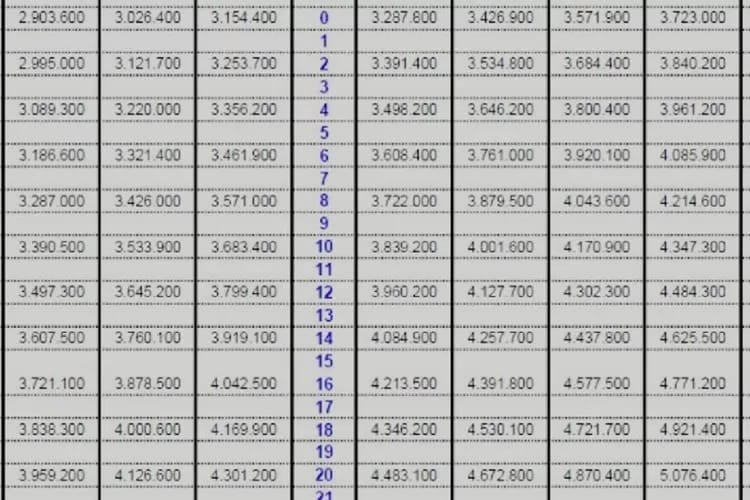 Gaji PNS Cair 1 Agustus, Ada Tambahan Empat Tunjangan: Ini Rinciannya yang Masuk ke Rekening