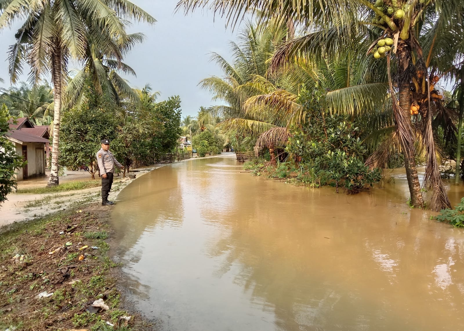   Hujan, Puluhan Rumah Warga Seluma Terendam Banjir dan Tanah Longsor