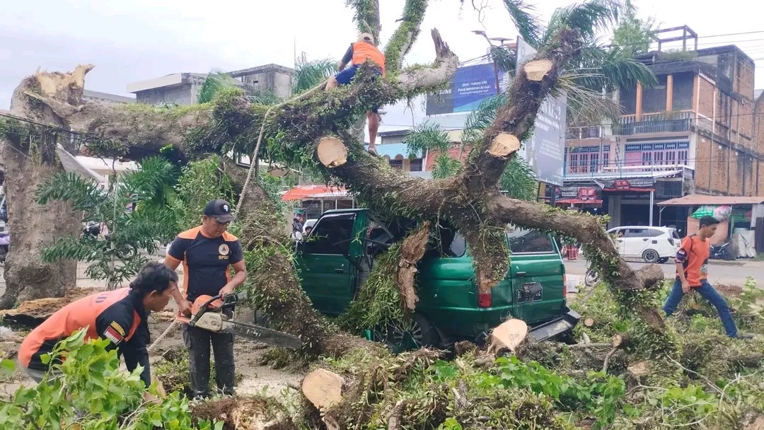  Angin Kencang Pohon Tumbang, Mobil Toyota Kijang Rinsek, BPBD BS bertindak