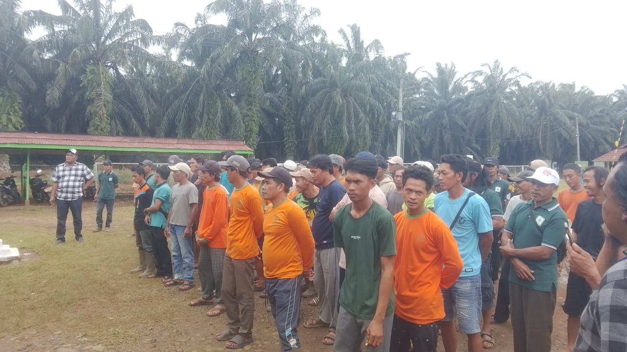 Upah Pemanen PT SIL Naik Jadi Rp140 per Kg, Aksi Mogok Kerja Resmi Berakhir