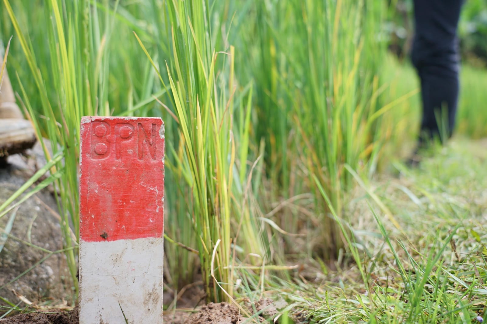 Soal Tabat dengan BS, Pemkab Seluma Minta Bantuan Gubernur Untuk di Fasilitasi 
