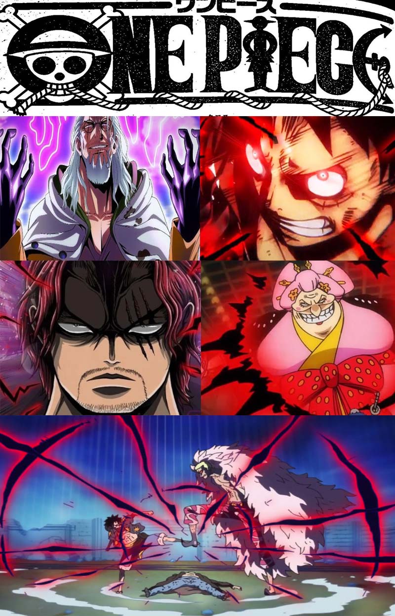 One Piece, Momen Haoshoku Haki/Haki Raja Terbaik!!