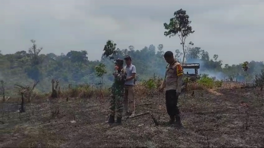  2 Hektar Lebih Lahan Sawit di Seluma, Kembali Terbakar 
