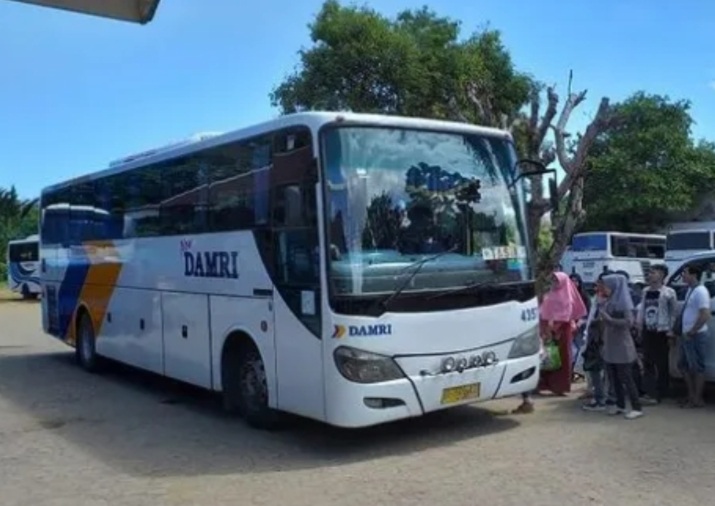 Layanan Bus DAMRI Bengkulu Kaur via Seluma, Semakin Diminati 