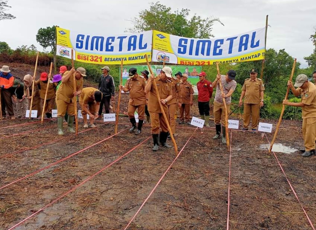 Bupati Seluma Tanam Jagung di Lahan Pemda