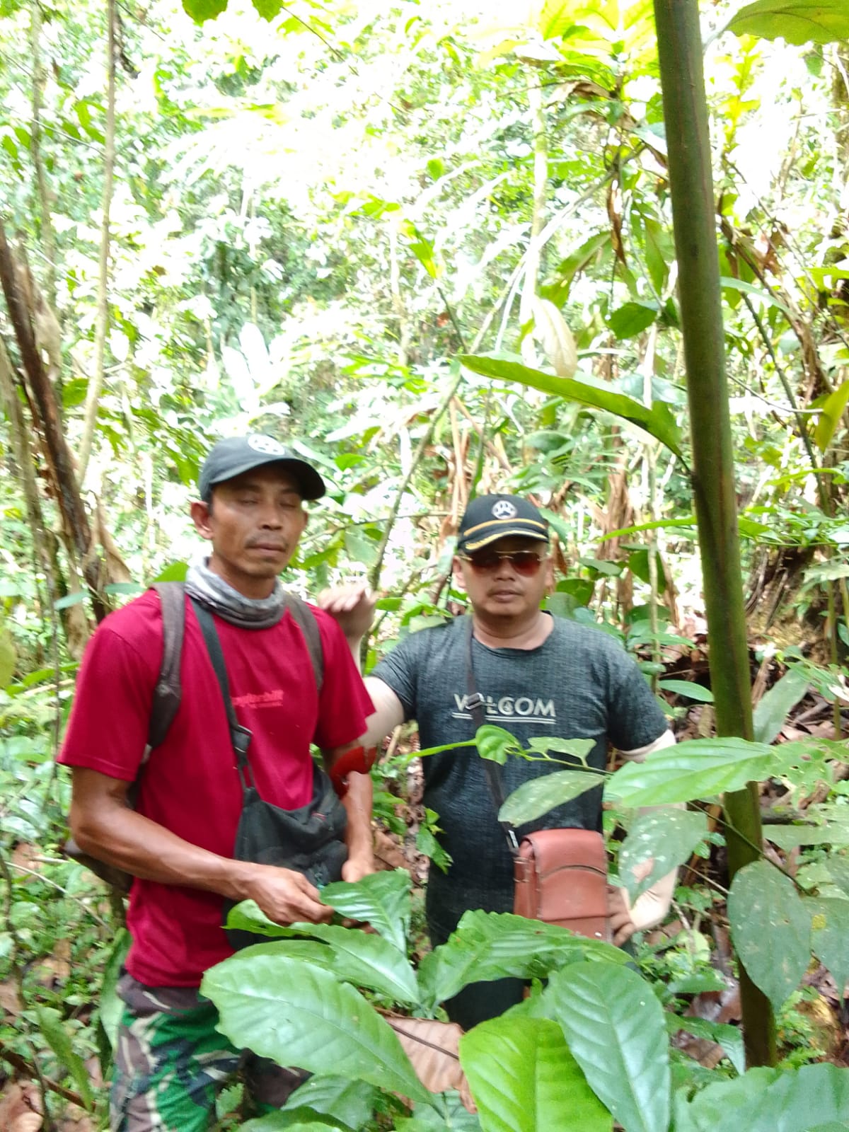 Pembukaan Tambang Emas di Ulu Talo Seluma Terus  Ditolak, Lebih Banyak Mudaratnya