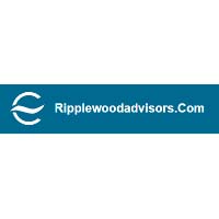 Ripplewood Investasi 1 Miliar di AI