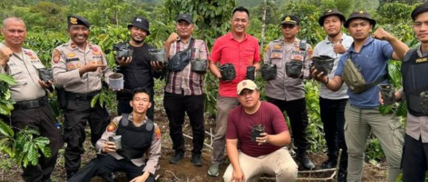 Tanam Ganja di  Area Kebun Kopi, Pemuda Ini Ya Dijail