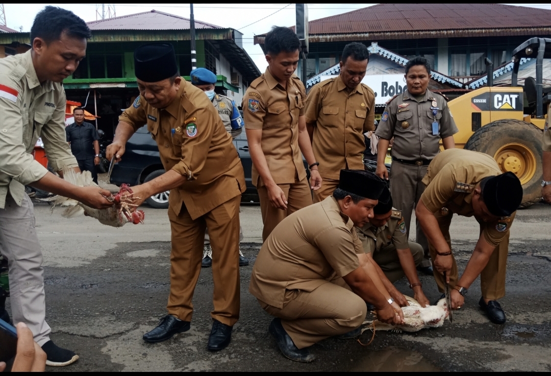 Sakin Senangnya Jalan Nasional Dibangun, Bupati Seluma Potong Ayam