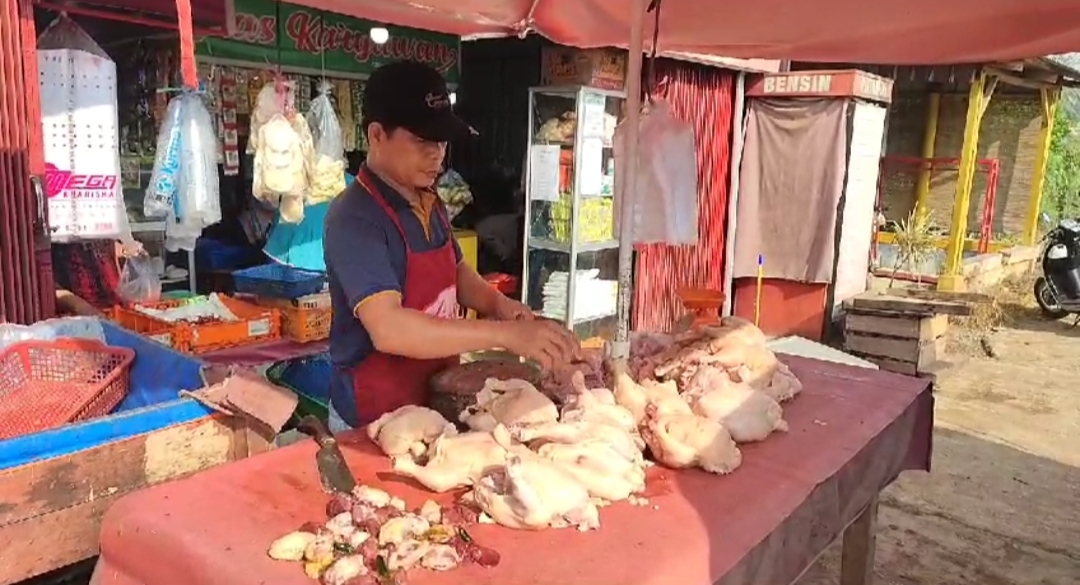 Harga Ayam Potong di Seluma Merangkak Naik