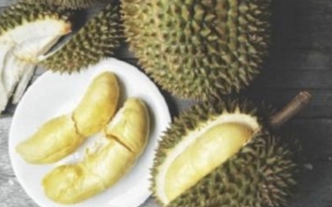 Manfaat Durian Untuk Kesehatan Simak