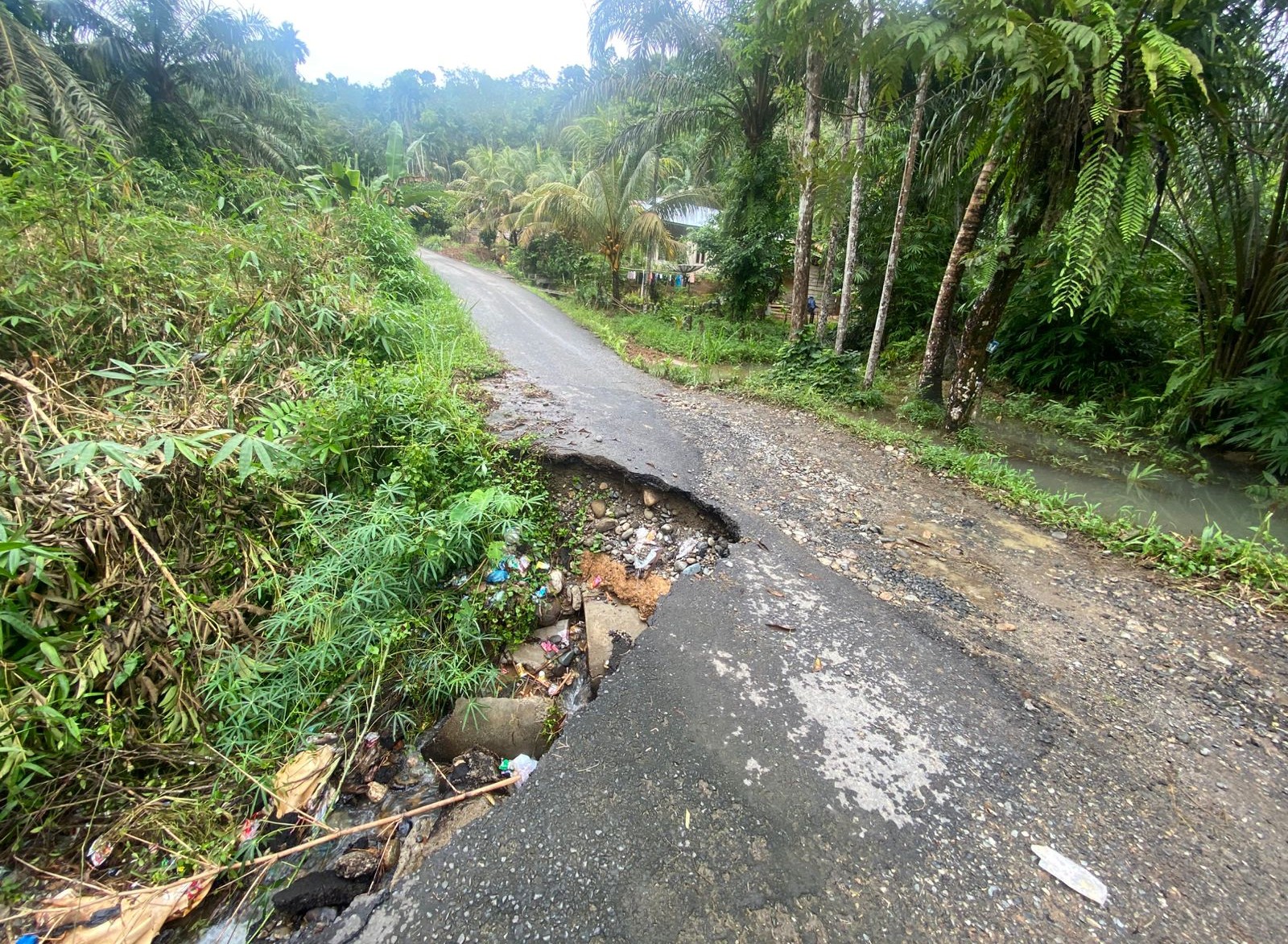  Jalan Amblas, Akses ke Ulu Talo Seluma Terancam Putus