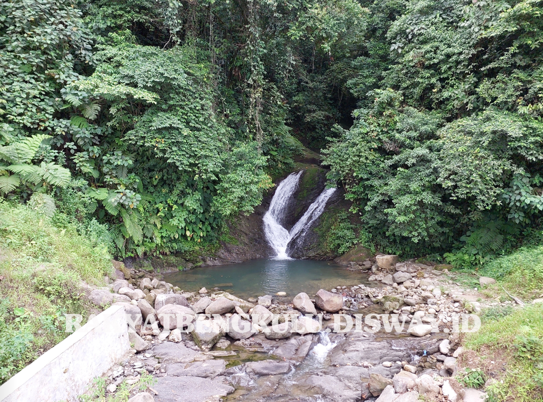 Tahura Bengkulu Selatan  Boleh Ditanami Petani, Kecuali Sawit