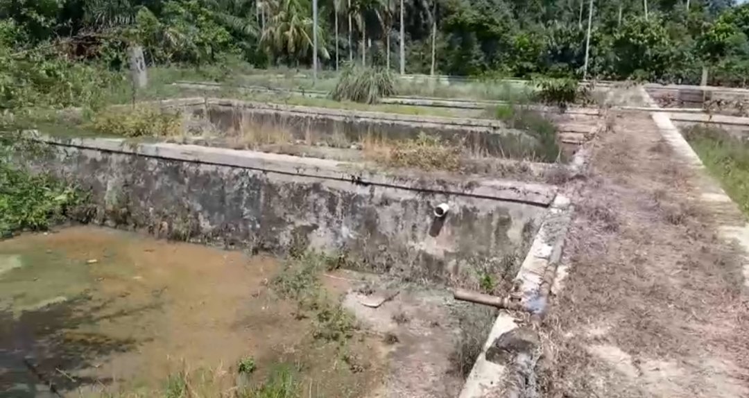  Ketua DPRD Seluma Prihatin, Dua Balai Benih Ikan Seluma Terbengkalai