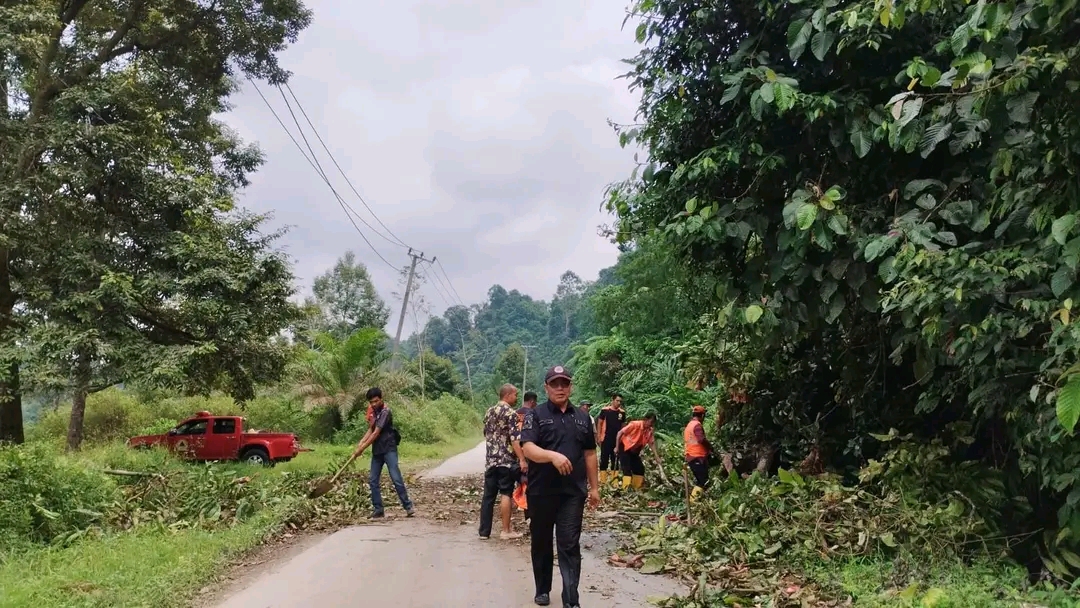 Tanah Longsor dan Pohon Tumbang di Desa Air Tenam Bengkulu Selatan, Tutupi Badan Jalan