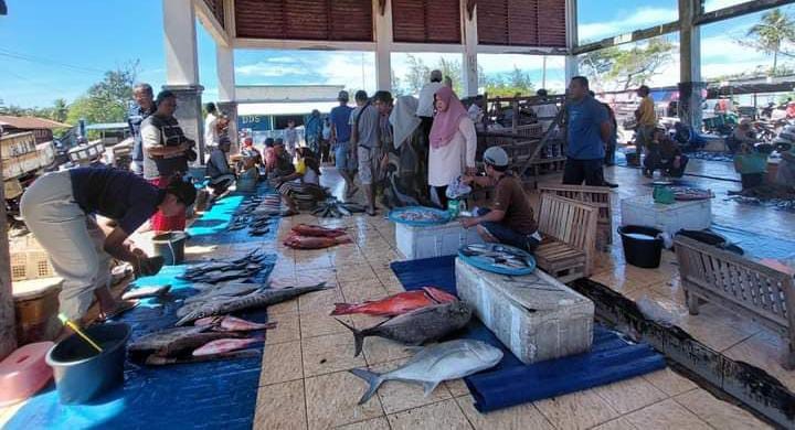 Angin Kencang Sulitkan Nelayan, Hasil Tidak Maksimal