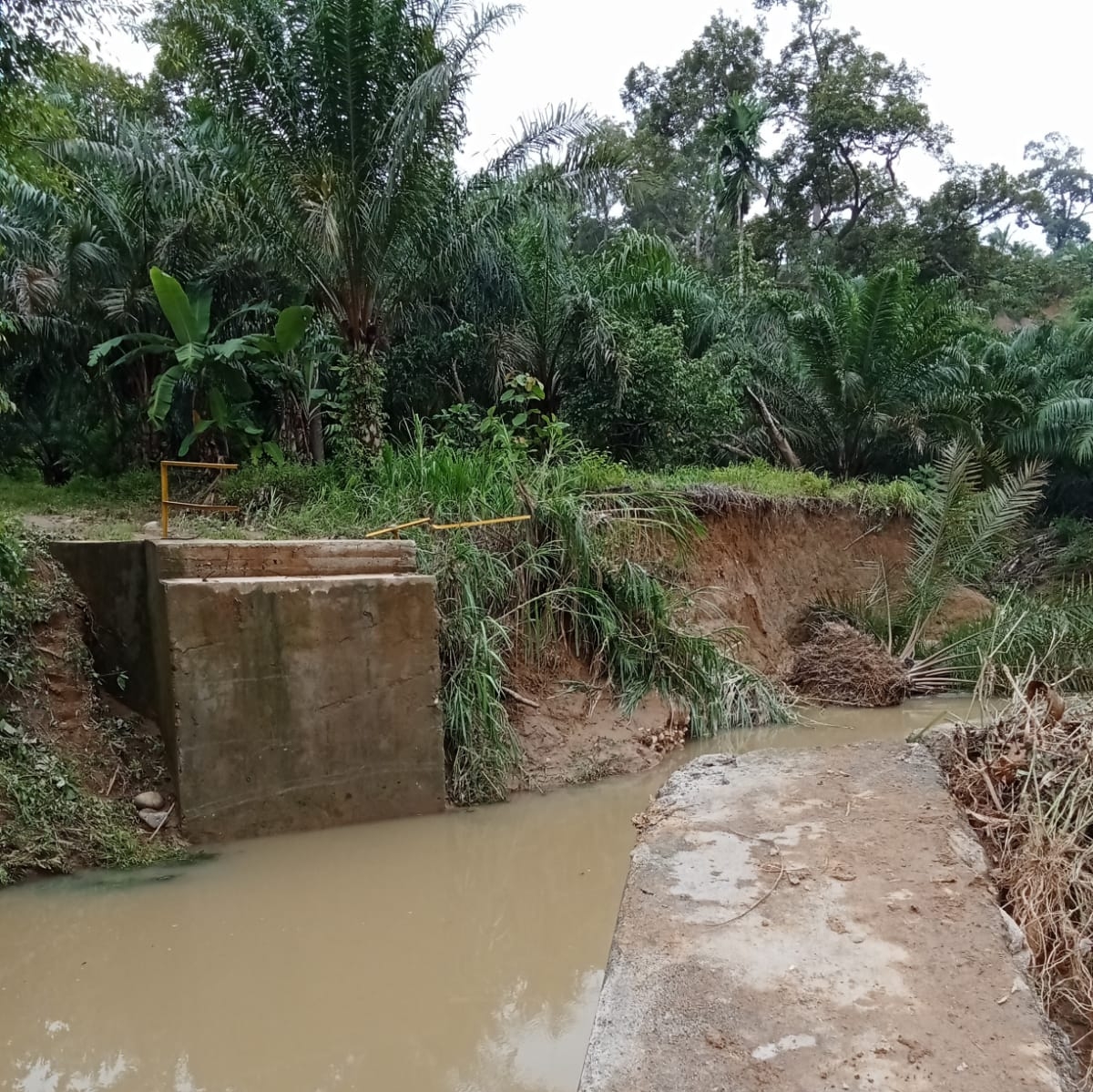 Akibat Jembatan Sungai Mertam BS Hanyut, Petani Kesulitan Angkut Hasil Pertanian