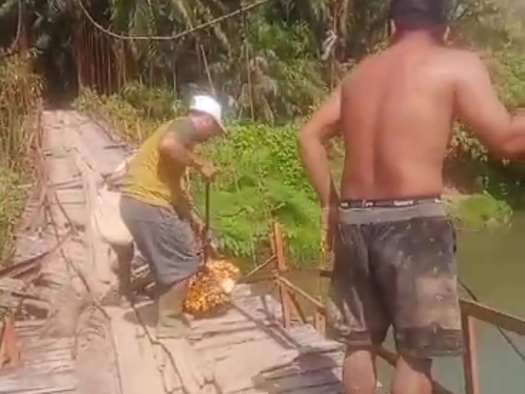 Jembatan Gantung di Desa Padang Merbau Seluma Ambruk, Tukang Ojek Sawit Jadi korban
