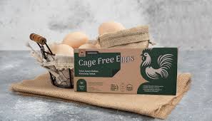   Peluang Bisnis Baru, Permintaan Telur Bebas Sangkar Meningkat