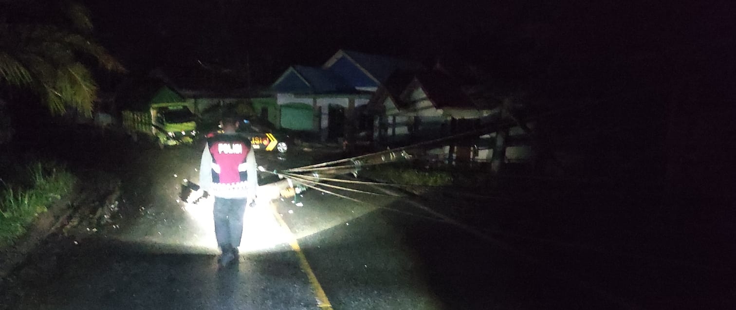 Diduga Sopir Ngantuk, Tiang Listrik Jadi Korban Serudukan Truk Box di Seluma