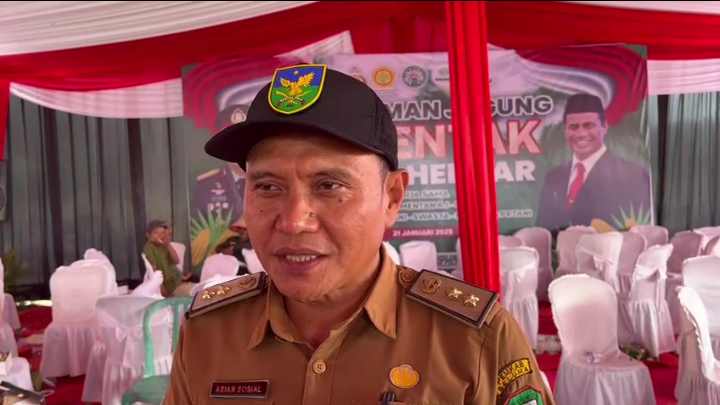  Cetak Sawah di Seluma Sudah 85 Persen, Dijadwalkan Tanam Perdana Padi Seminggu Lagi