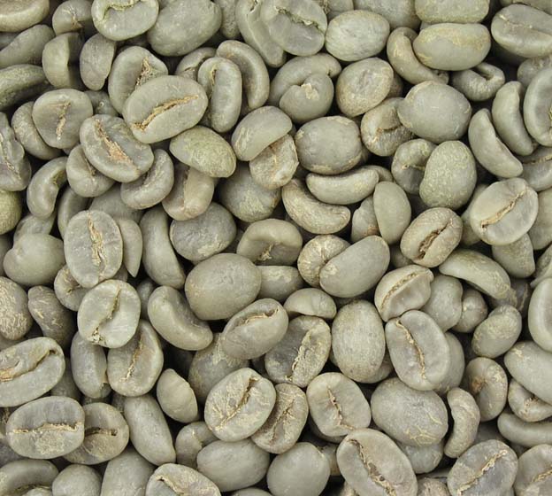   Harga Kopi Capai Rp 25.000/Kg