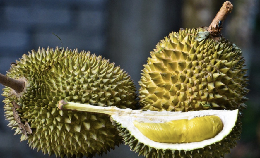 Durian, Buah Raja Memiliki Kelezatan Kontroversial Banyak Manfaatnya Untuk Kesehatan 