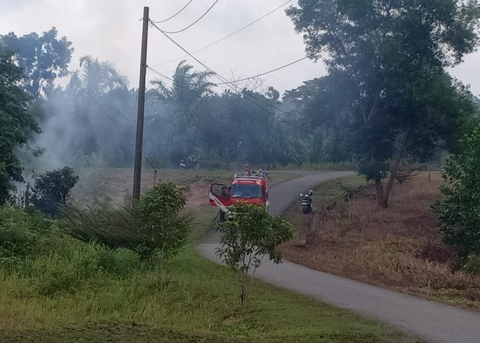  Nyaris Saja Kebakaran Lahan Bakar Laboratorium DLH Seluma