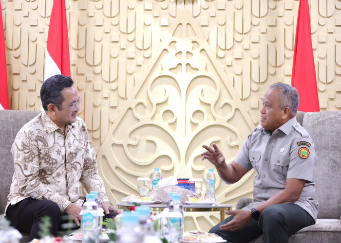 Wamentan Dorong Percepatan Investasi Fosfat Aljazair, Perkuat Pasokan Bahan Baku Pupuk Nasional