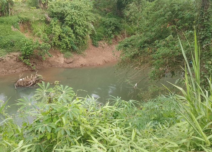 Abrasi Sungai Ini, Ancam Jalan Lintas Bengkulu