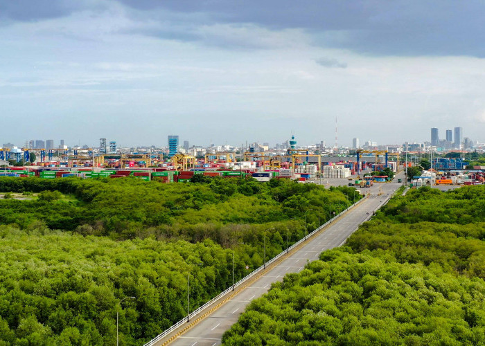PT Terminal Petikemas Surabaya Perluas Ruang Terbuka Hijau, Perkuat Ekosistem Pelabuhan 