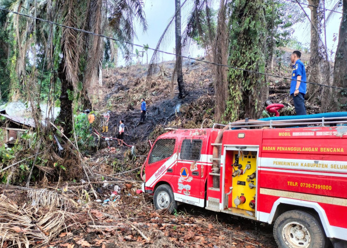 Kebakaran Lahan, Nyaris Bakar Rumah Warga Hingga Masjid Agung Baitul Falihin