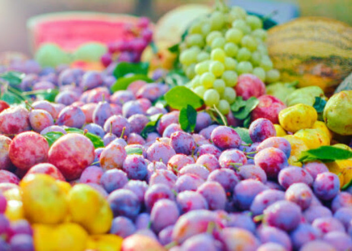 Jiashi, Kabupaten di Tiongkok dengan Sentuhan Manis