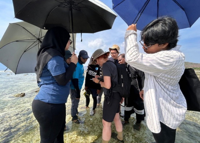 Kuva Space Bersama Wwf-Indonesia Hadirkan Teknologi Satelit Hiperspektral,  Monitoring Ekosistem Karbon Biru