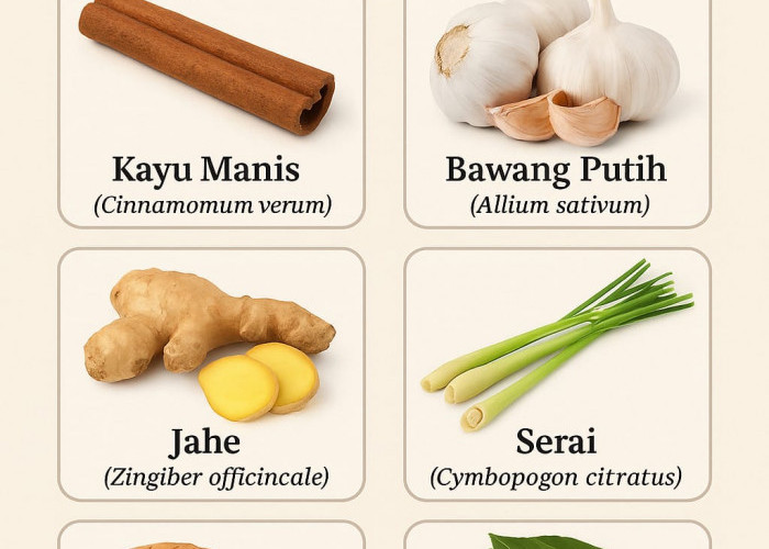 Ramuan Tradisional Penurun Darah Tinggi dari Tumbuhan Rempah-Rempah