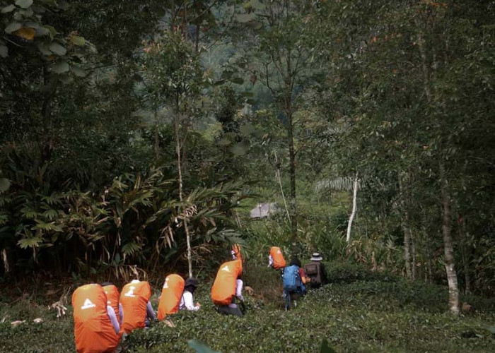 Pernyataan Resmi BPN, Warga Tidak Boleh Garap Lahan Cagar Alam