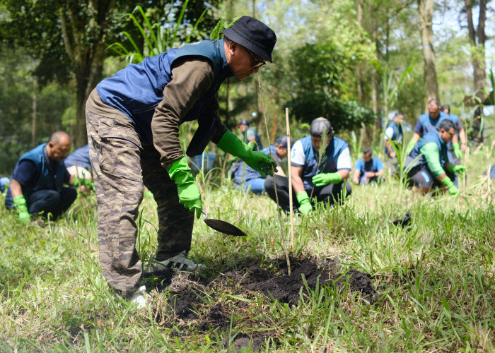PT TPS Tanam 120 Bibit Pohon Pinus  di Coban Talun sebagai Komitmen Pelestarian Lingkungan