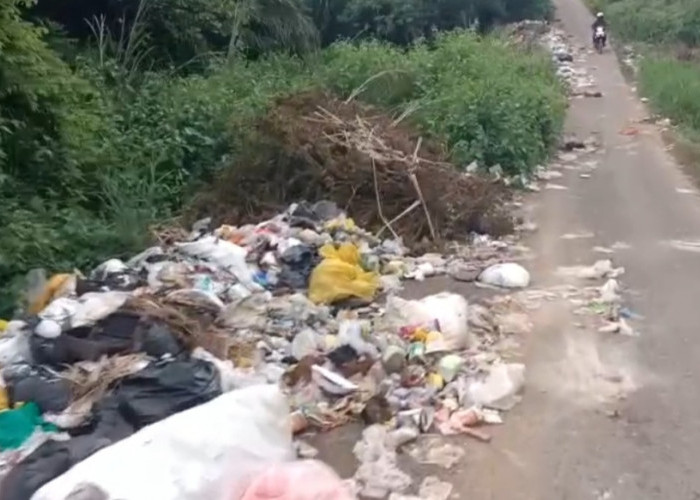 Sampah Menumpuk di belakang Kuliner Seluma, DLH Seluma Belum Bertindak