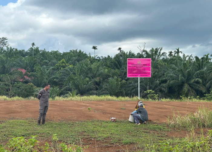 Seluma Heboh Lagi, 19 Ha Lahan  Milik Murman Effendi Disita Kejari, Dipasang  Plang Sita 