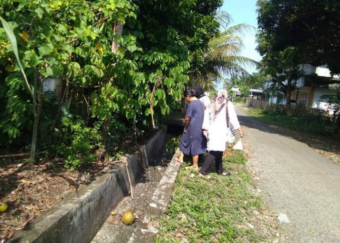  Waspada Penyebaran  DBD, Sekda BS Minta Warga Peduli Bersih Lingkungan