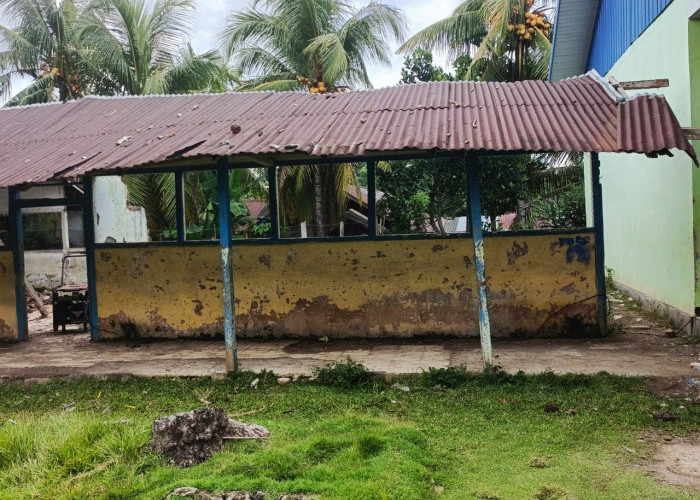  Ruang Kelas Kurang, Siswa SDN 50 Seluma  Belajar di Ruangan Sempit dan Bersekat