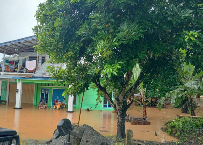  Diguyur Hujan, 14 Rumah di 3 Desa Seluma Terendam Banjir 