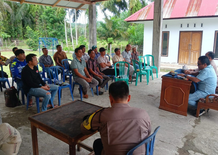  Marak Pencurian Sawit di BS, Polres BS Aktif! Kumpulkan Toke Sawit