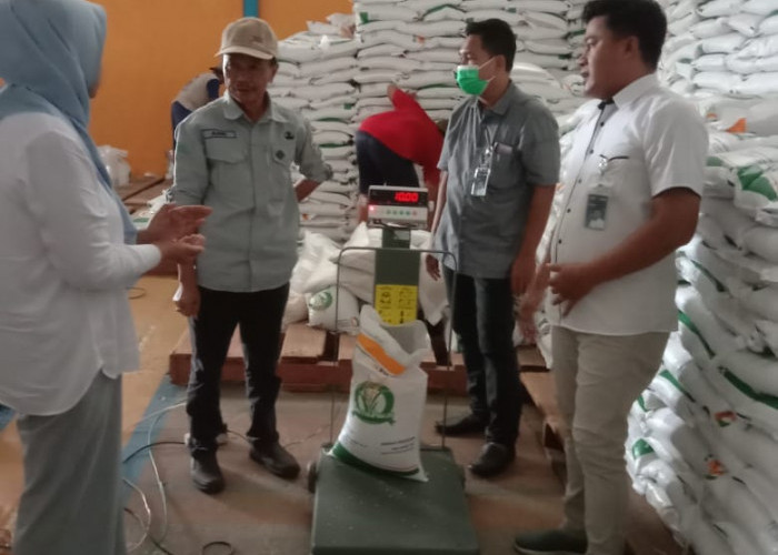 Bansos Beras 10 Kg Segera Disalurkan Di Seluma, Berikut Jadwal Lengkapnya