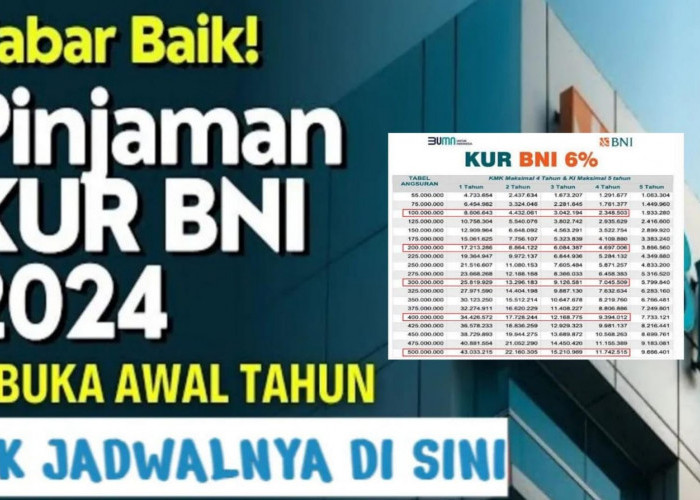 Pinjaman KUR BNI 2024, Angsuran Dibawah 1 Juta! Maksimum Pinjaman Rp 10 Juta...