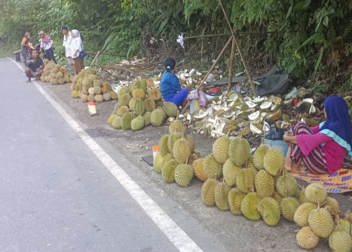 Rp 15 ribu- Rp 35 ribu Harga Durian di Seluma