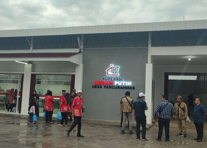 Alhamdulillah, Benarkah Pengurus Kopdes Diangkat Jadi PPPK? Ini Penjelasan Lengkapnya