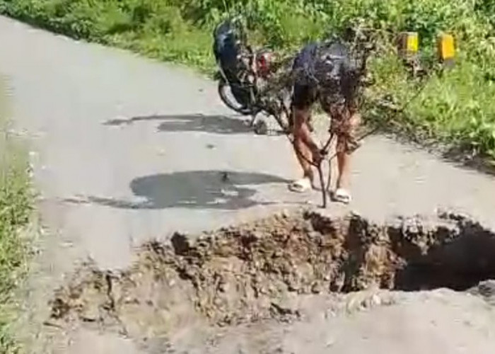 Abrasi Makin Melebar, Jalan Provinsi di Ilir Talo Seluma Terancam Putus