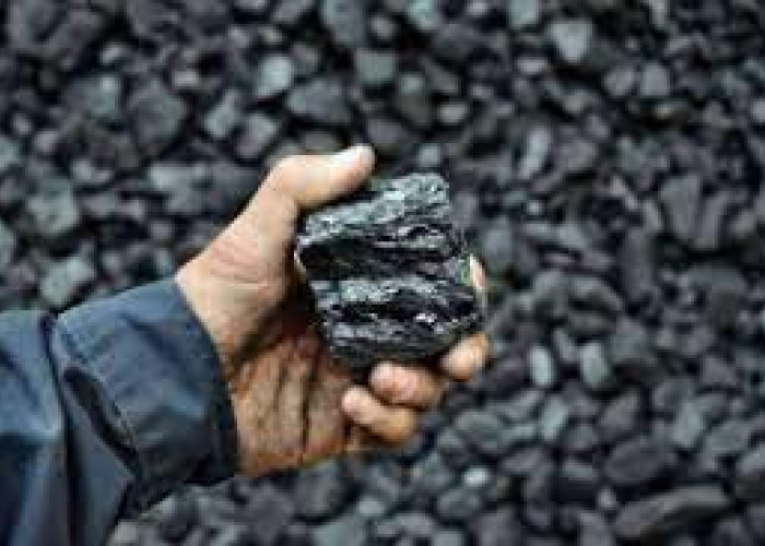 Nilai Ekspor Produk Turunan Nikel Indonesia Tumbuh Positif di Periode Januari–Agustus 2025